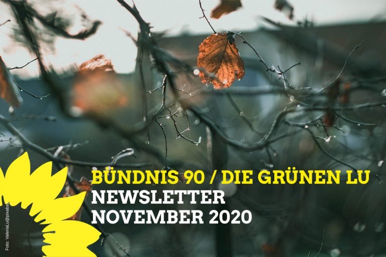 InfoGrün November 2020